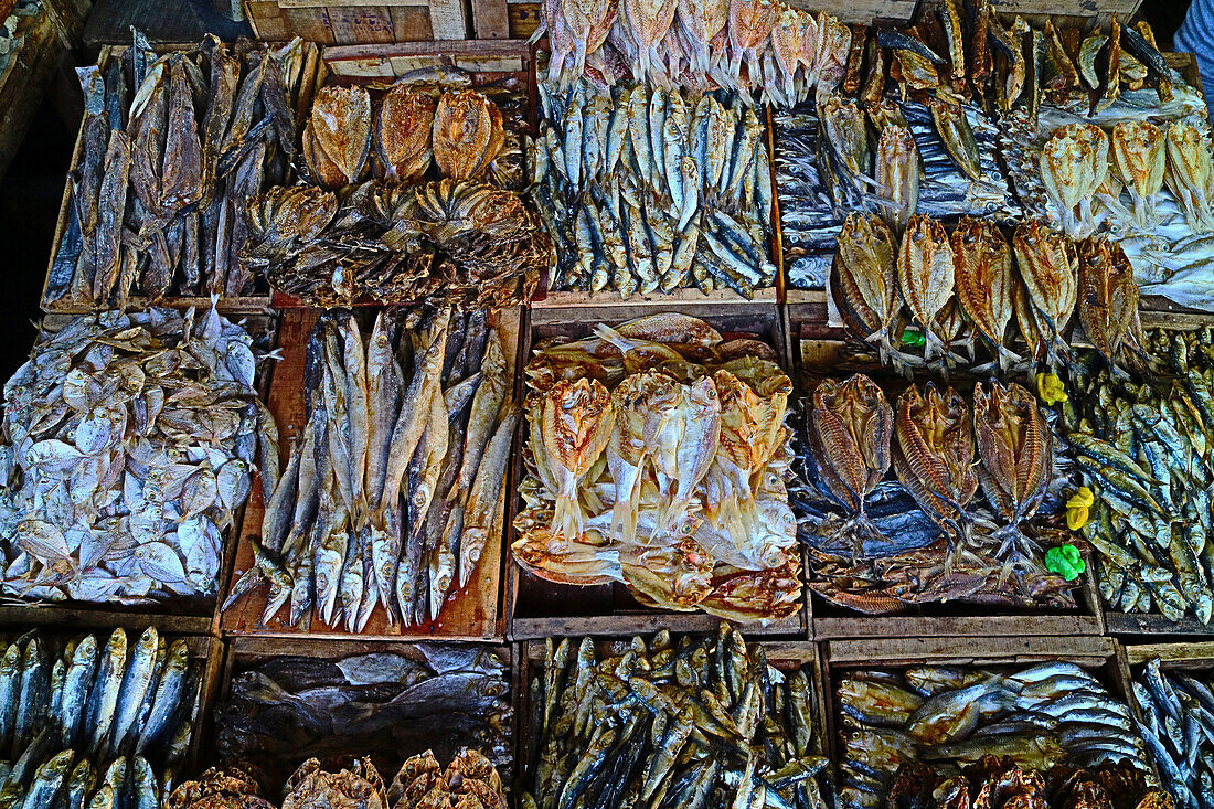 71124674-Dried-fish-in-Gensan-market-General-Santos-Mindanao