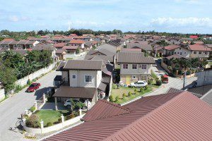 IMG03852-300x200-1-300x200